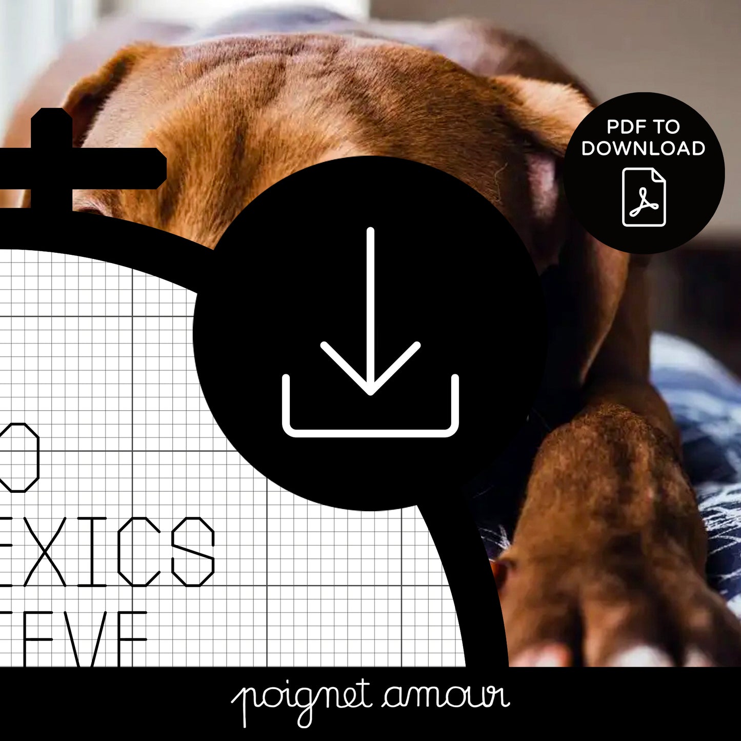 do dyslexics believe in dog? PDF