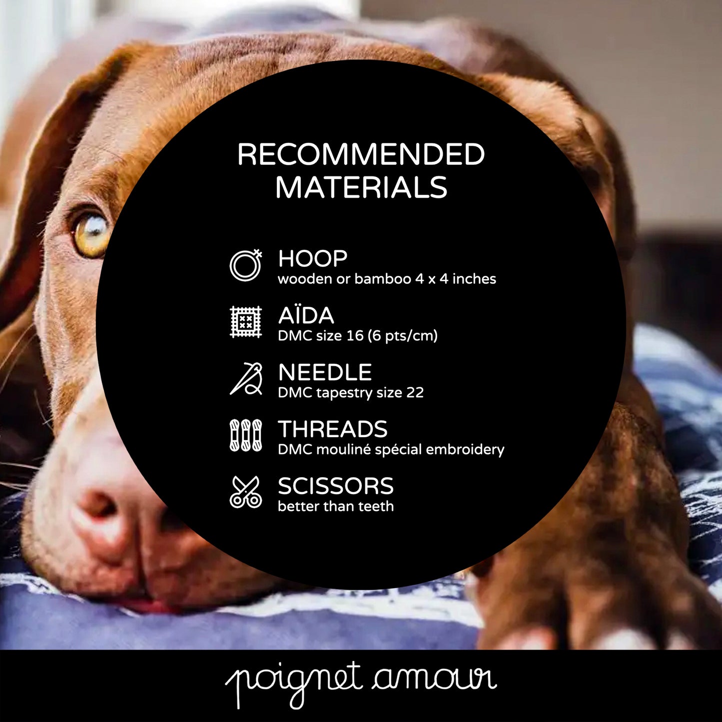 do dyslexics believe in dog? PDF