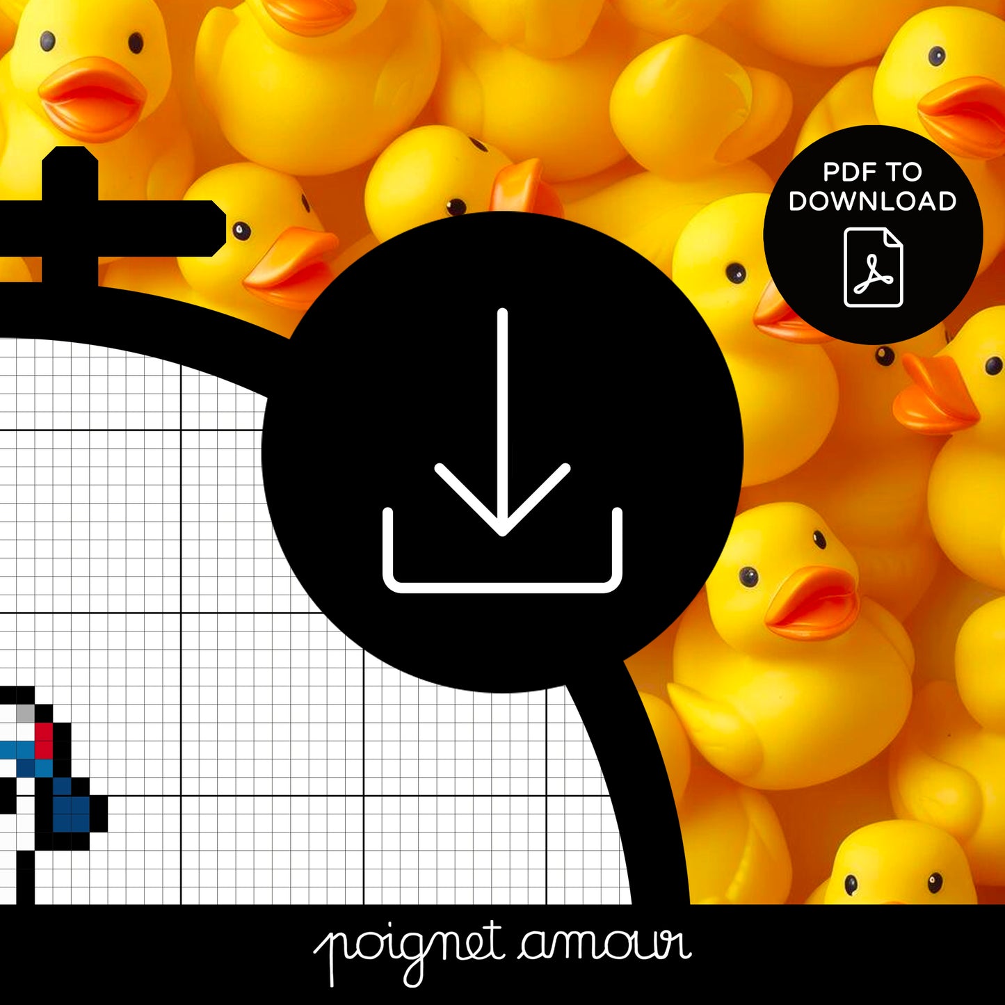 #planCANARD PDF