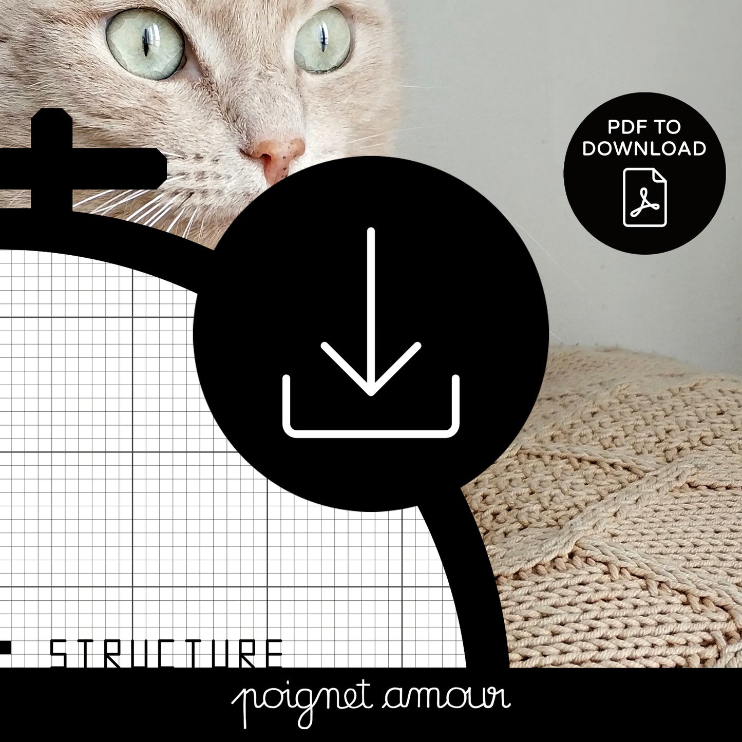 structure ton délire stp PDF