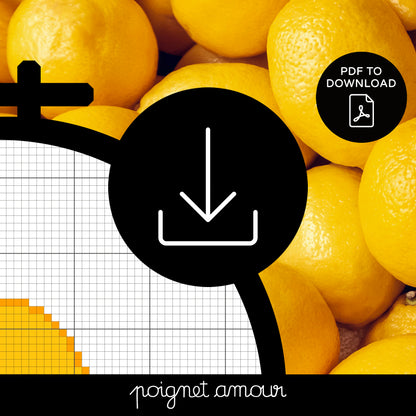 salut je suis john lemon PDF